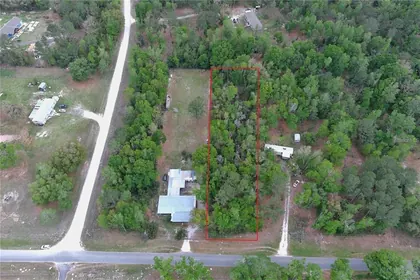 LIVE OAK FL Property
