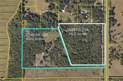 CLEWISTON FL Property