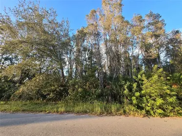 LEHIGH ACRES FL Property