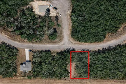 CITRUS SPRINGS FL Property