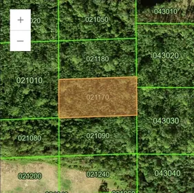 POLK CITY FL Property