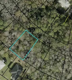 PALM COAST FL Property