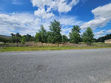 SUMMERFIELD FL Property