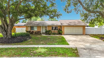 BRANDON FL Home