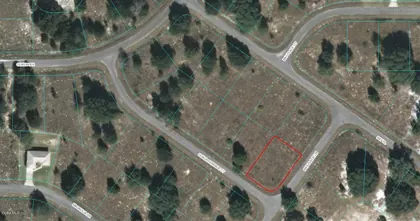 OCKLAWAHA FL Property