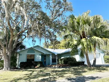 WESLEY CHAPEL FL Home