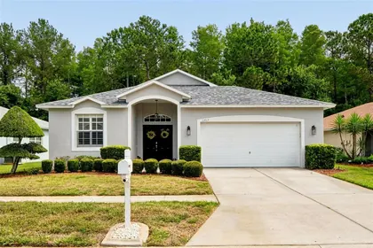 NEW PORT RICHEY FL Home