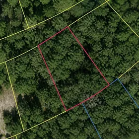 OCKLAWAHA FL Property