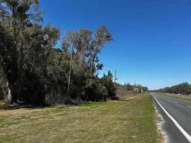 BELLEVIEW FL Property