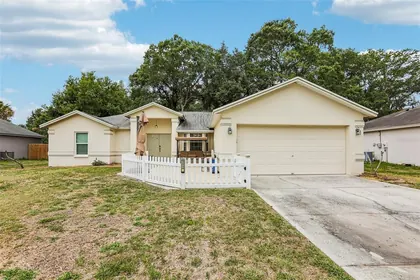 MULBERRY FL Home