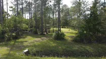 HASTINGS FL Property