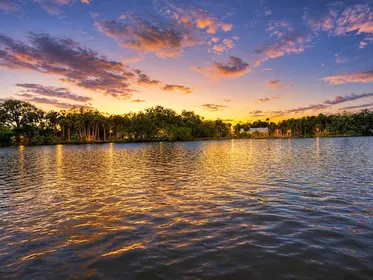 RIVERVIEW FL Property