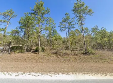 BROOKSVILLE FL Property