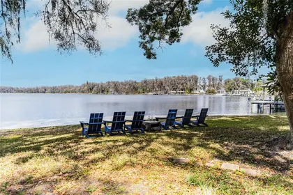 ODESSA FL Home