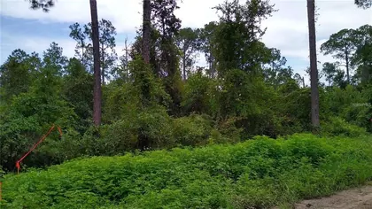 DELAND FL Property