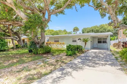 NEW SMYRNA BEACH FL Home