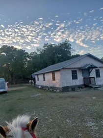 THONOTOSASSA FL Home