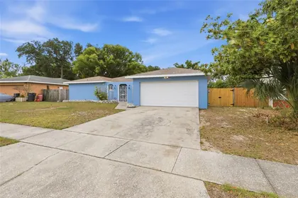BRANDON FL Home