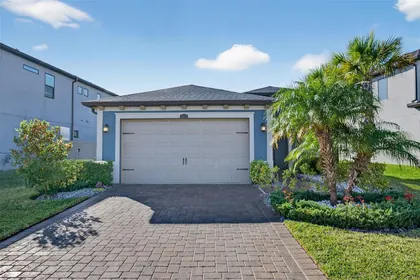 WESLEY CHAPEL FL Home