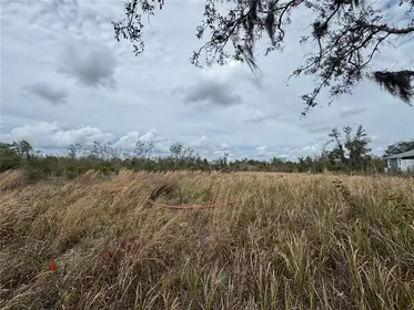 ARCADIA FL Property