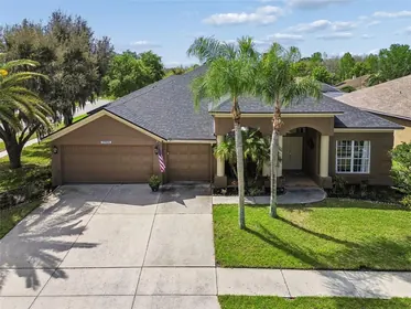 LUTZ FL Home