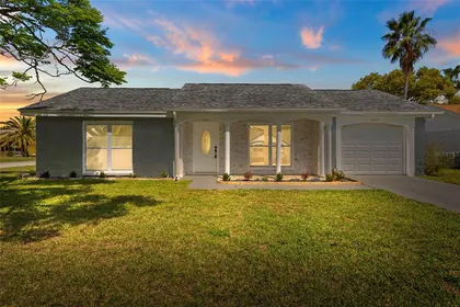 HOLIDAY FL Home