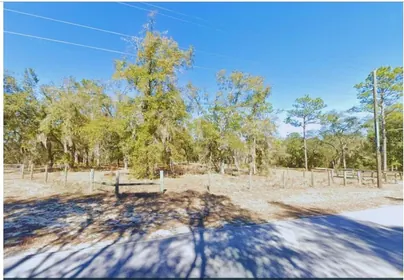 BRONSON FL Property