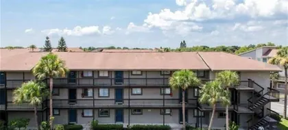 TAMPA FL Home