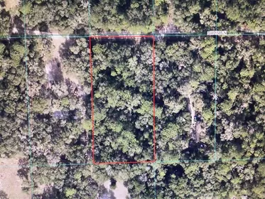 DUNNELLON FL Property