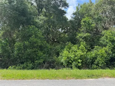 ALTOONA FL Property