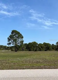 PLACIDA FL Property