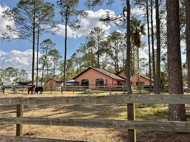 ALTOONA FL Property