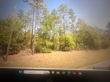 DUNNELLON FL Property