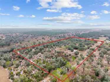 ARCHER FL Property