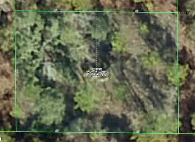 BROOKSVILLE FL Property
