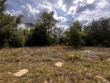 CITRUS SPRINGS FL Property