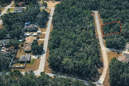 DUNNELLON FL Property