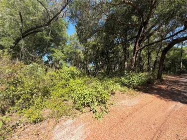 BROOKSVILLE FL Property