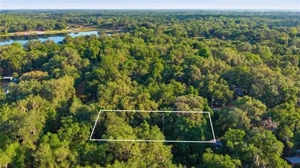 SILVER SPRINGS FL Property