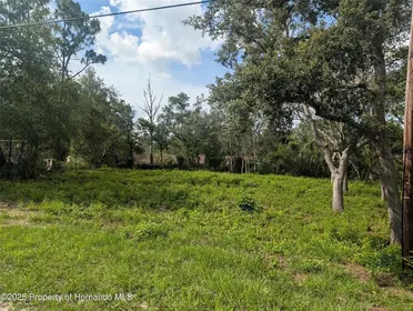 DADE CITY FL Property