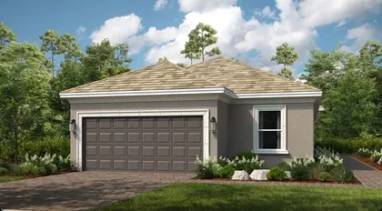 WESLEY CHAPEL FL Home