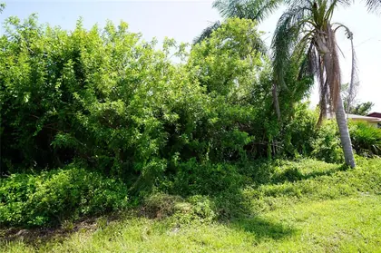 PORT CHARLOTTE FL Property