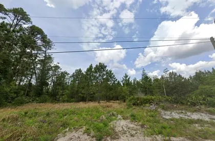 DELAND FL Property