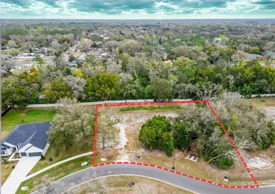 LUTZ FL Property