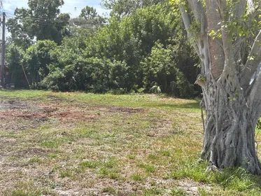 ST PETERSBURG FL Property