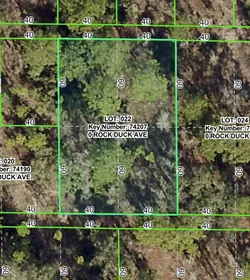 BROOKSVILLE FL Property