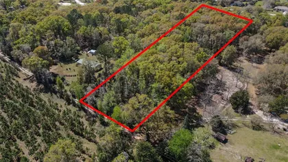 HIGH SPRINGS FL Property