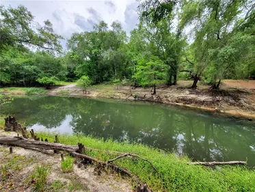 DADE CITY FL Property