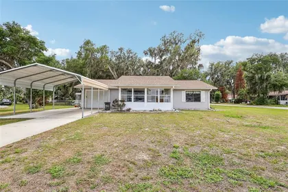 LAKE PANASOFFKEE FL Home