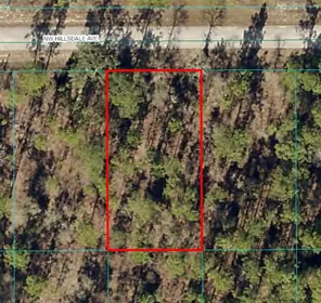 DUNNELLON FL Property